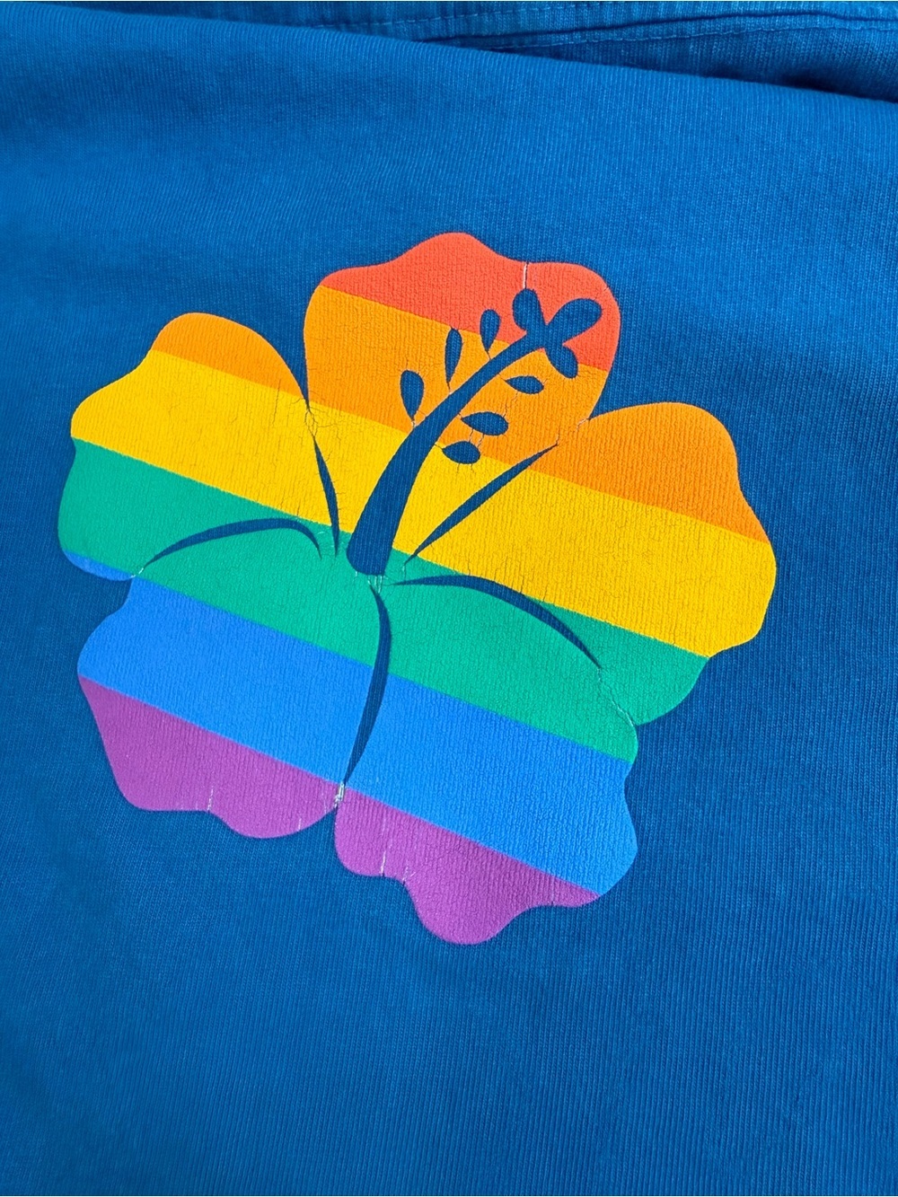 Aulani Disney Aloha Spirit Jersey Pride Collection Long Sleeve Blue Large - Picture 7 of 10